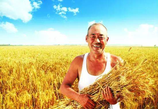 农民人均地_挖地图片农民