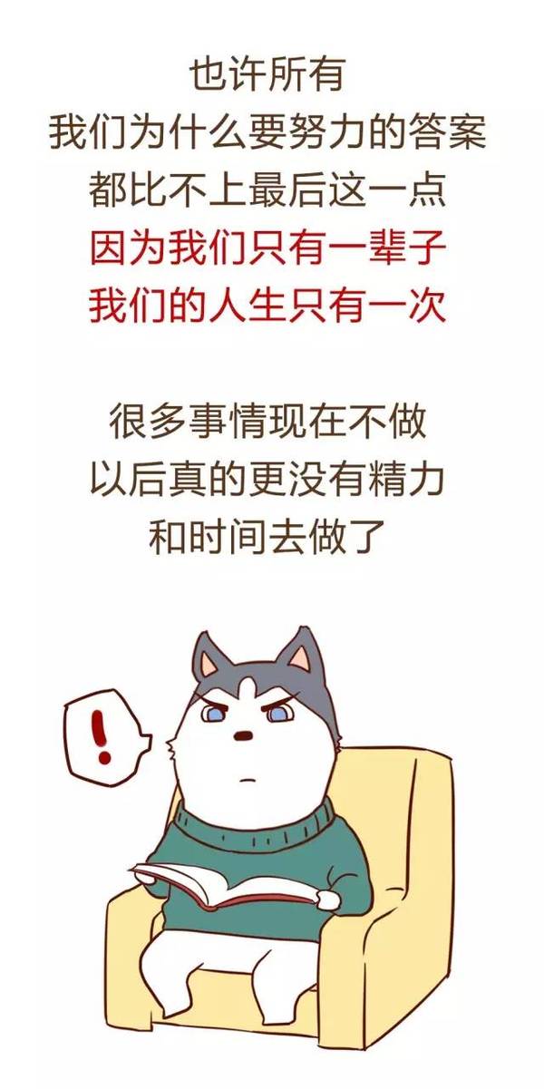 2017年,我为什么要努力努力再努力?