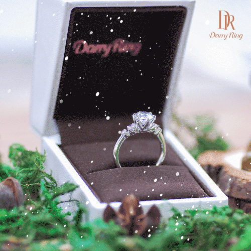 白头偕老的爱情 是darry ring一直坚守的信仰所在 每一枚dr钻戒 都