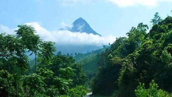 五指山市人口有多少_五指山市图片