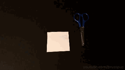 【趣味物理】纸的16种玩法逗你乐!-教育频道-手机搜狐