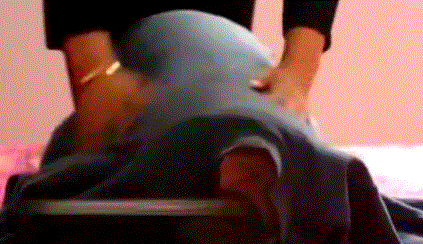 壁纸 动物 423_244 gif 动态图 动图