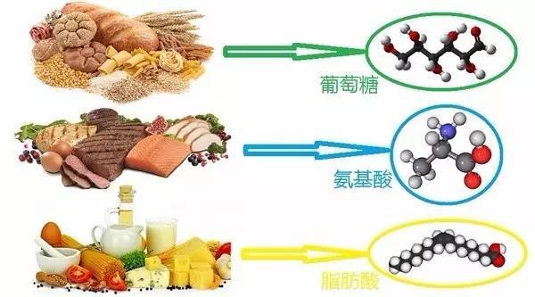 无论是减少v大腿大腿要控血糖,都需要需要对纯粹淀粉的摄入,但是并不12瘦还是岁如何图片