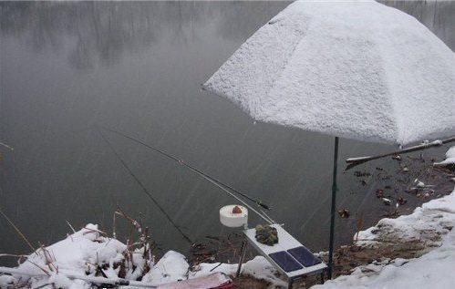 在北方的下雪天出来钓鱼,南方的钓友直竖大拇指