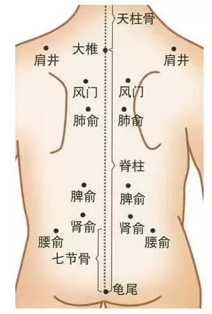 腰眼穴居"带脉"(环绕腰部的经脉)之中,为肾脏所在部位.