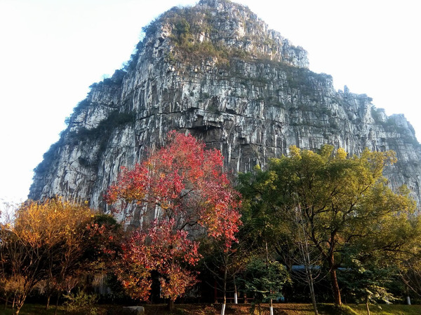 寻找桂林的秋天—桂林南溪山冬景