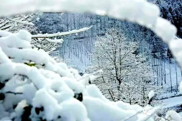 雪落彭州,雪色浪漫