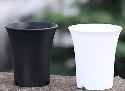a0xdlu0048950999629.jpg