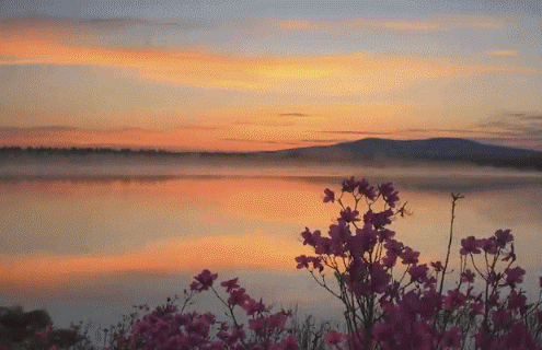 鲜为人知但风景迷人的阿尔山