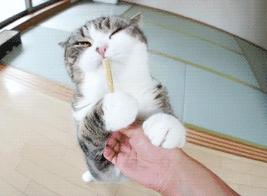 【福利】让我们一起摇摆,摇摆