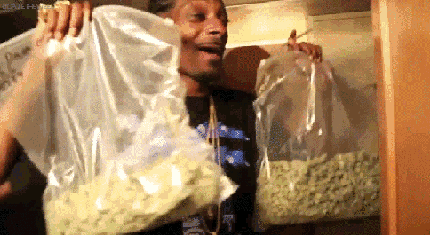 堪称大麻代言人的他,甚至还启动了