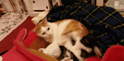 不信来看看这些