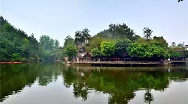 自贡郊区好去处,山好水好的,油菜花开的时候,这片小梯田美呆了!