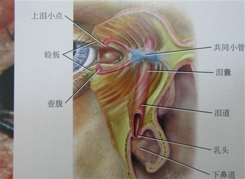 用什么方法可以不留疤痕 a5pzx76031328683227.jpg
