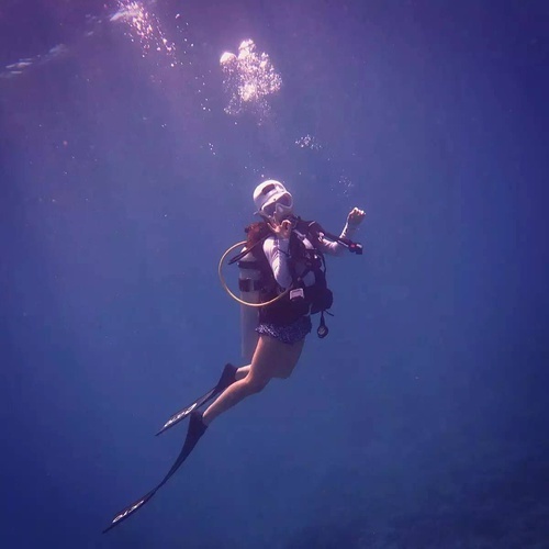 美女帕劳旅游之潜水小记