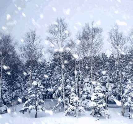 大雪吃什么?