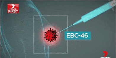 目前已经在超过300多个动物身上做过试验