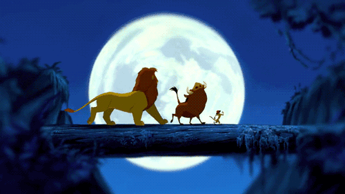 a6ak0p068833762459.gif