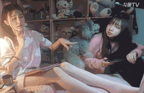 看看泰迪到底有多色?我算是服了