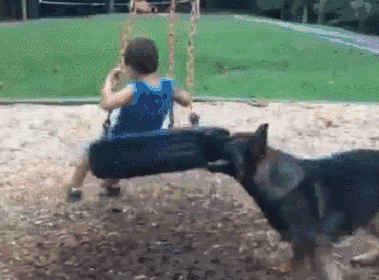 你知道给他推一下午秋千是一种怎样的体验吗,累到怀疑狗生.