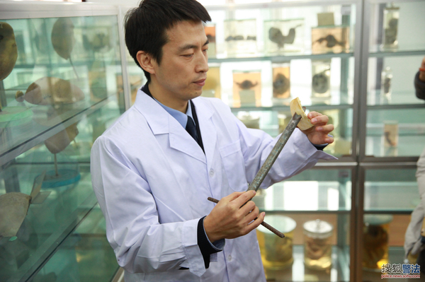 a3ce6l85522699291596.jpg