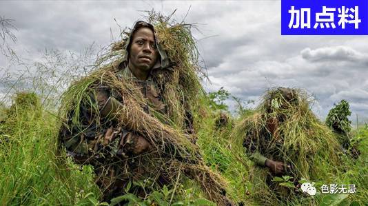 国家地理2016年度最佳影像