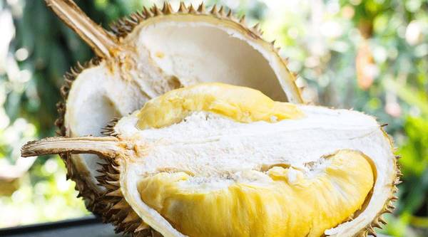 吃榴莲上火?吃大蒜降血脂?吃臭豆腐会中毒?嗯