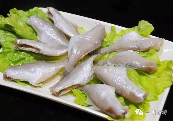 橡皮鱼