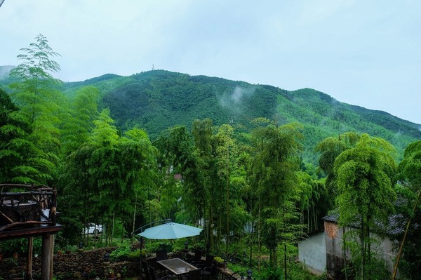 莫干山之莫梵 | 远离尘嚣,寻一处秘境放空心灵