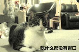 女人不易,请各位好好珍惜!-新闻频道-手机搜狐