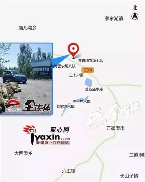 新疆五家渠,下野地西瓜出现滞销!瓜农十分着急!求扩散