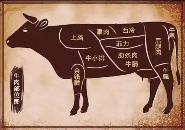 牛排切割部位图:我们下面再一一介绍一下 西冷sirloin