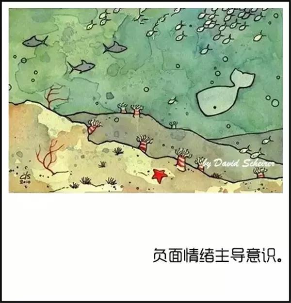 厄尔瓜多人口组成_厄尔瓜多玫瑰图片(3)