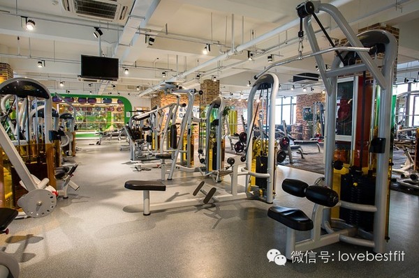 上海健身房排名_健身房美女(3)