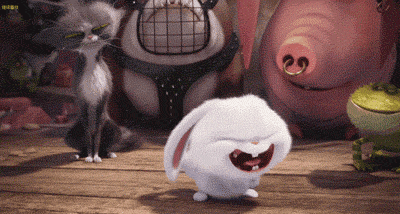 400_214gif 动态图 动图
