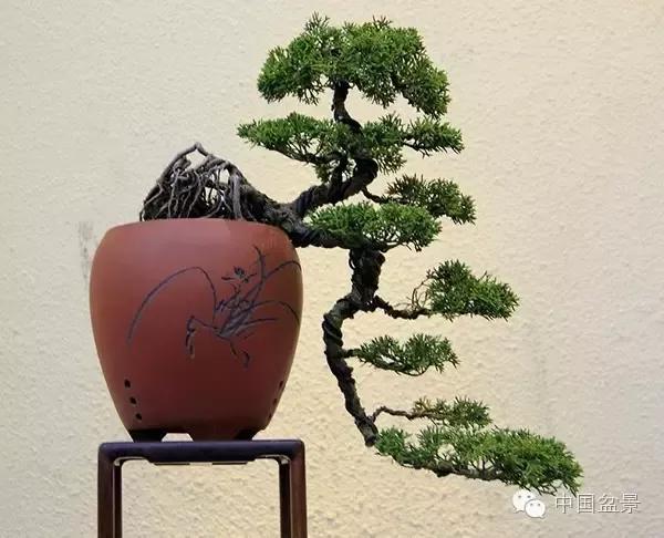 通派盆景的特点与佳作欣赏