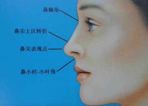 鼻小柱延长术针对不同的情况,通过不同的手术方法在鼻孔,鼻小柱周围
