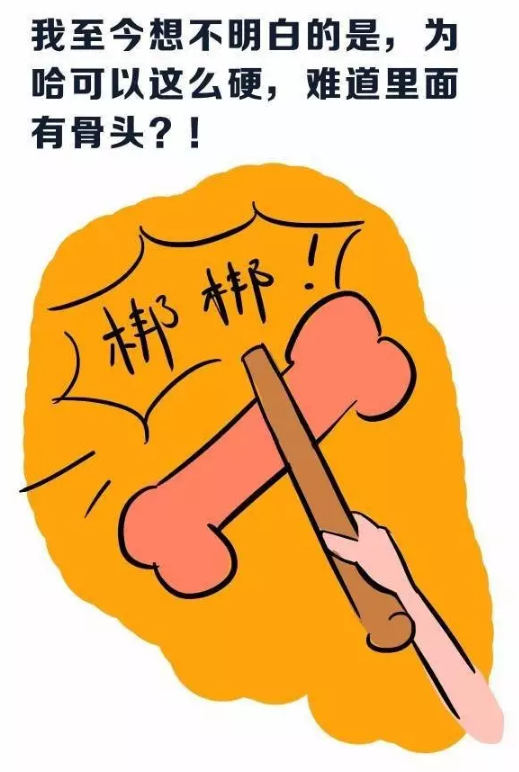 女生第一次看到"一柱擎天"是怎样一种感受?