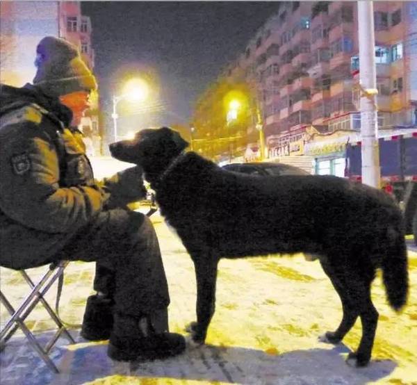 失独老人"临终托孤":照顾好我的大黑狗,8万卖房钱都给