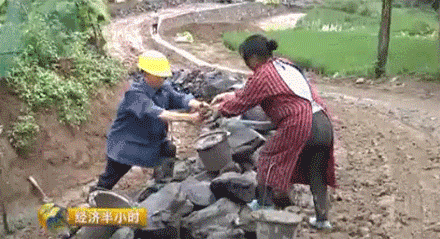 董石榴:我大哥和二姐都在外面读大学,他们每年花费很高,这样的话就