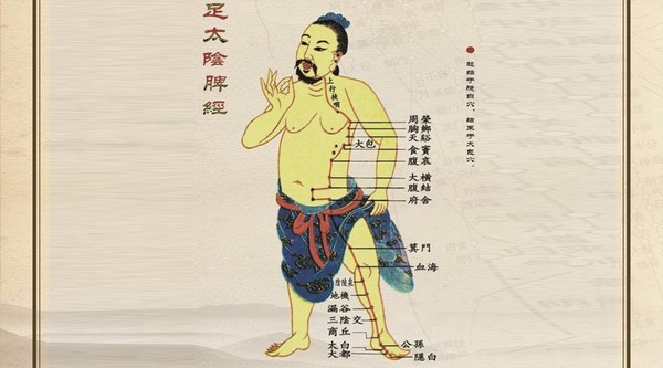 养生,脾为先!(脏腑调理——脾胃保养)