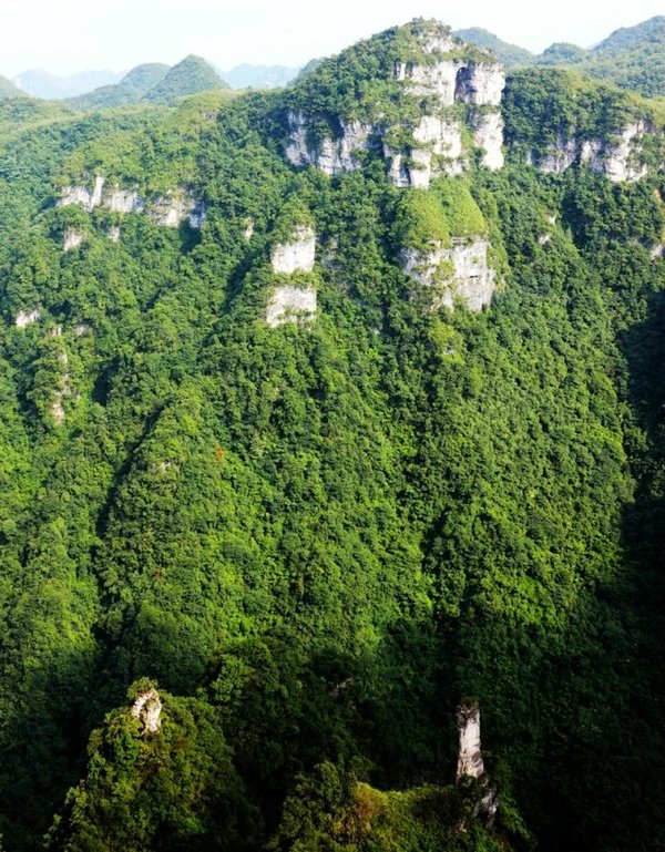 在路上|手机拍摄:这里是大方县·油杉河