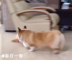 一言不合就劈叉!