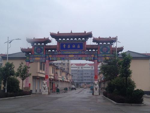 (肥乡县常庄中心社区新民居项目所在地) 2011年4月,小区楼房个别主体