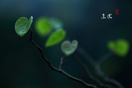 a3ei3x8589907520708.jpg