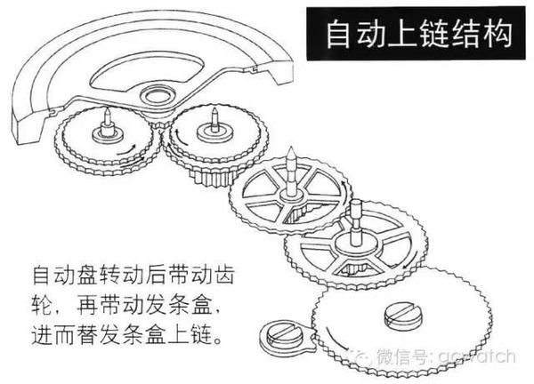 手动上发条对手表有害?你不要吓我!