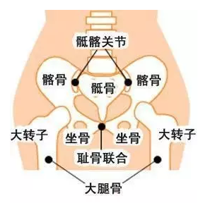 孕期大腿中间痛,走路困难?其实是耻骨分离!