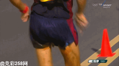 翔之外, 仿佛也是有摩擦或剧烈运动引起的出血.