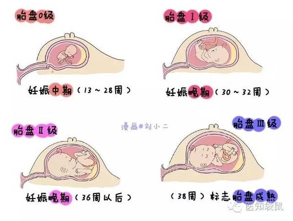 a8j7ol3164422555855.jpg
