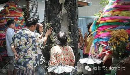 泰国鬼妻庙求财求子求姻缘,最牛逼是可求灭花心男